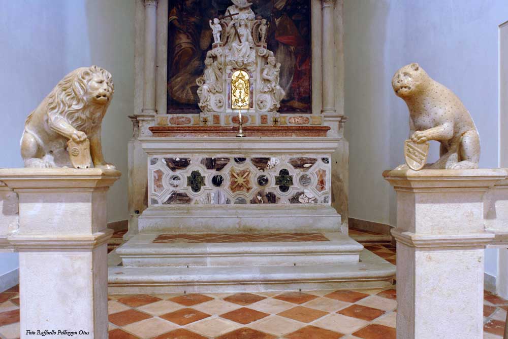 Foto Raffaello Pellizzon Otus